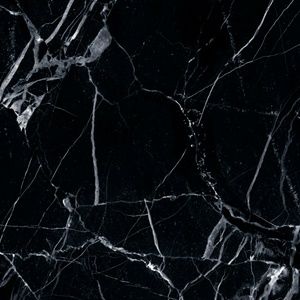 Meet your Posher, Jayda